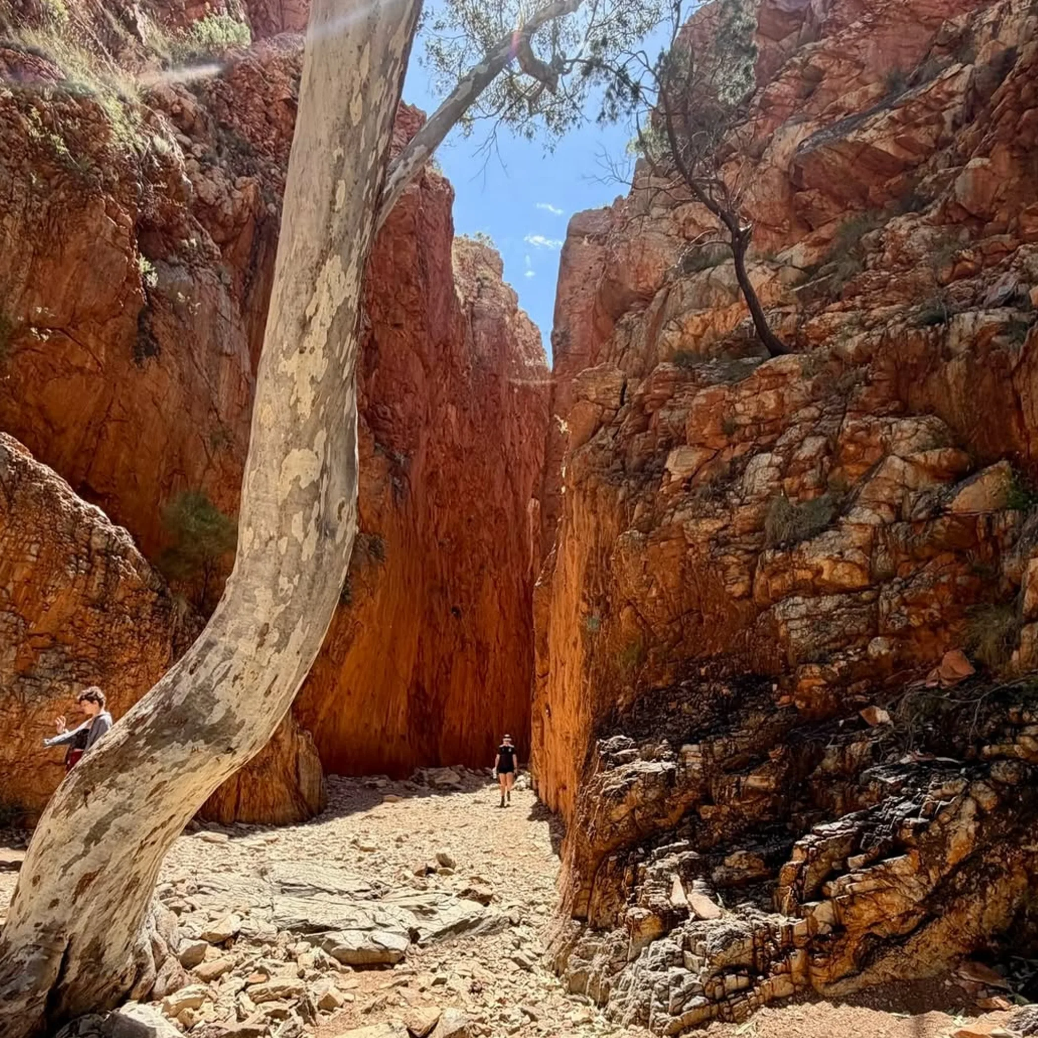 hikers in red-rock canyon