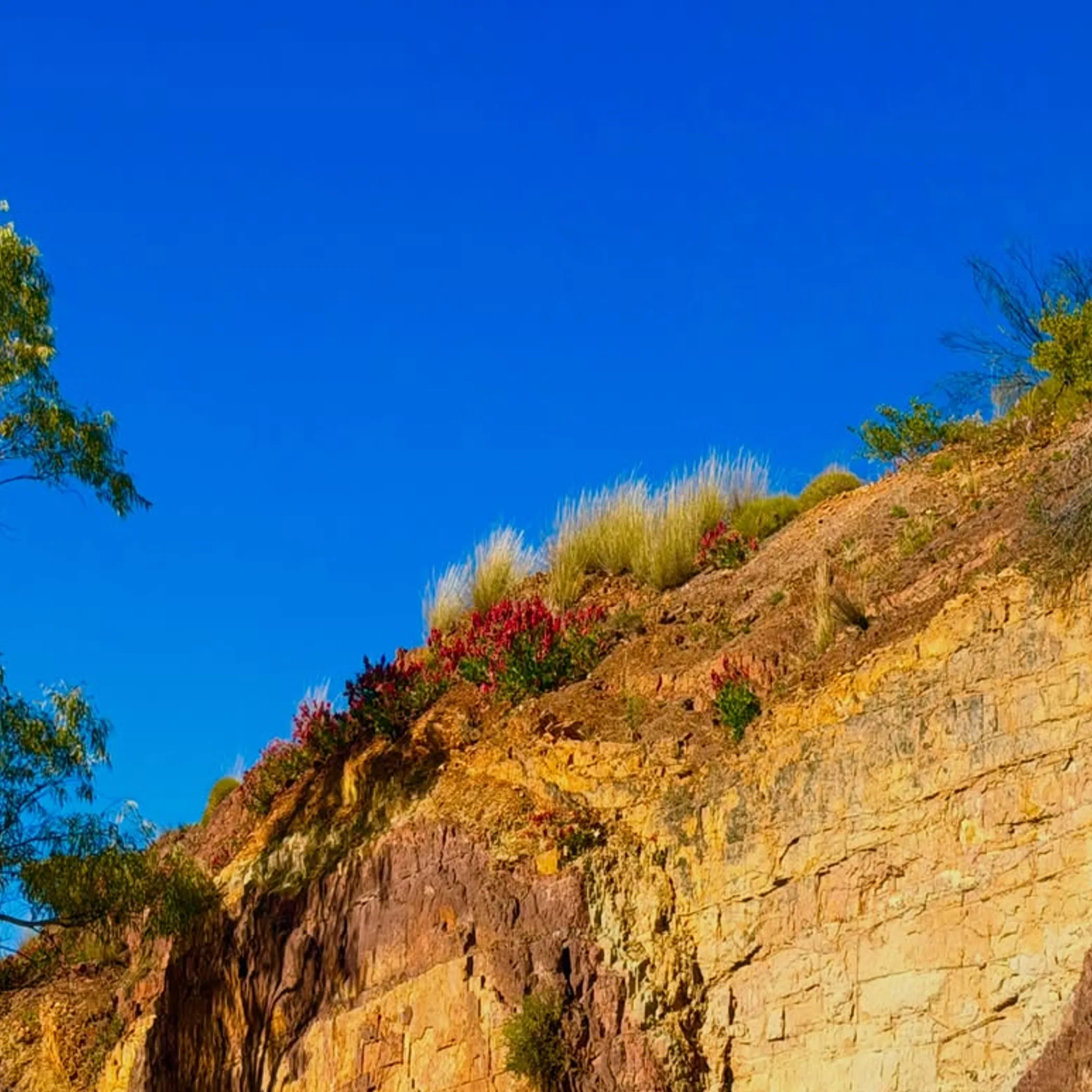 ochre pits landscape in west macdonnell ranges