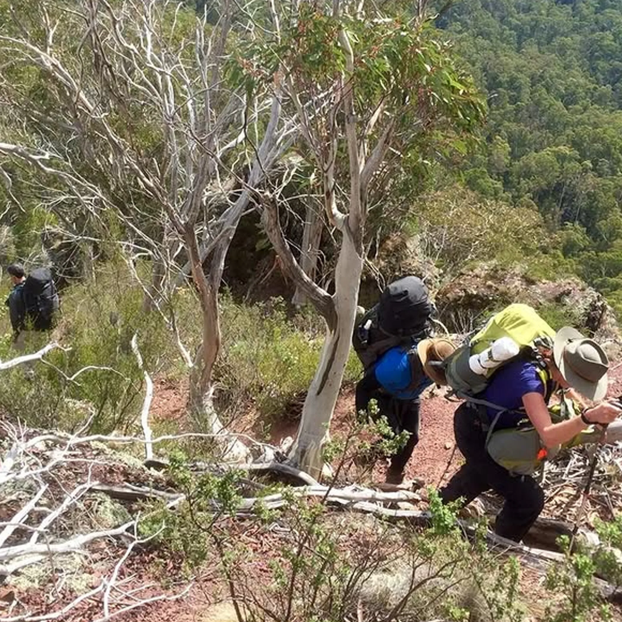 hiking photo showing a spur ascent