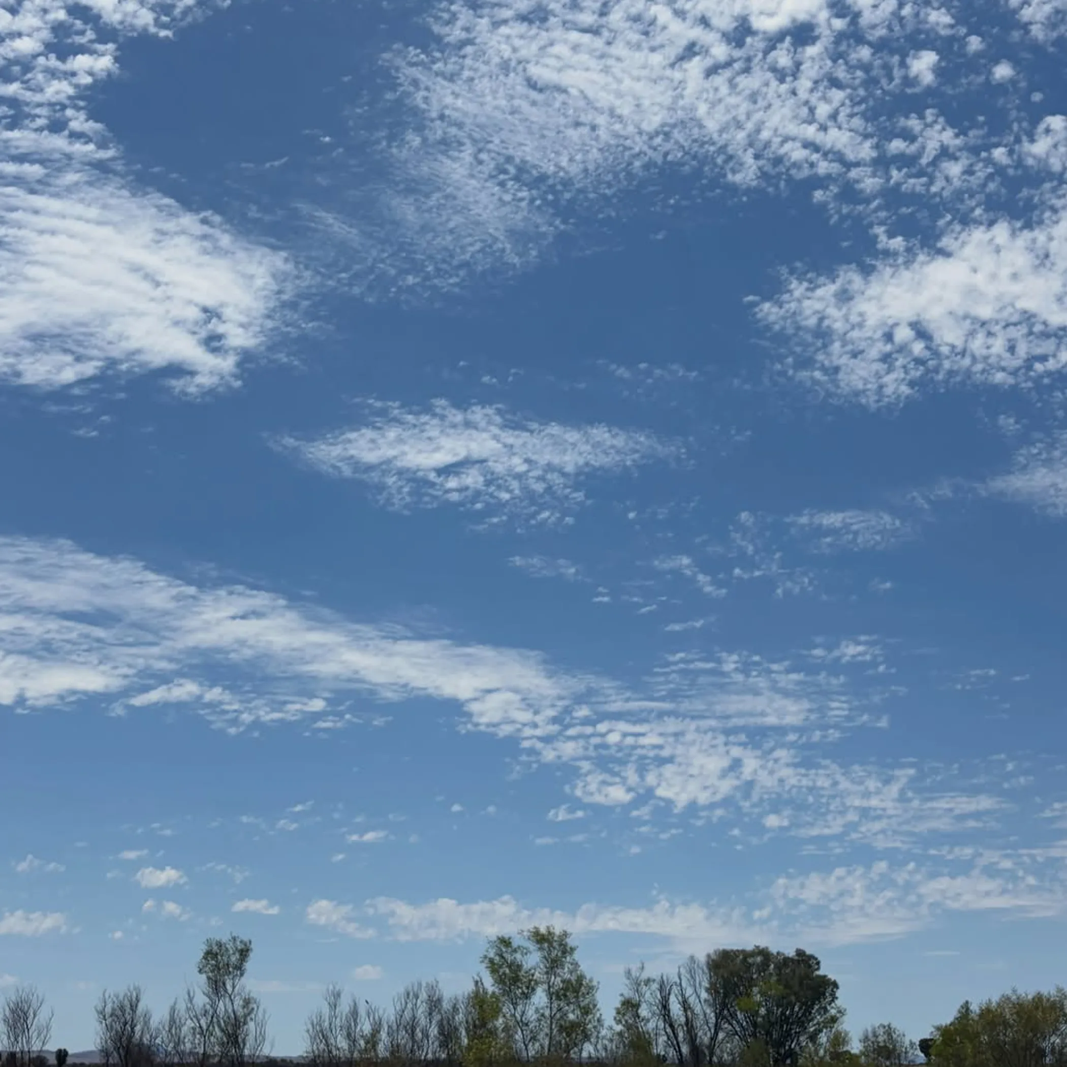 dry bushland beneath expansive sky