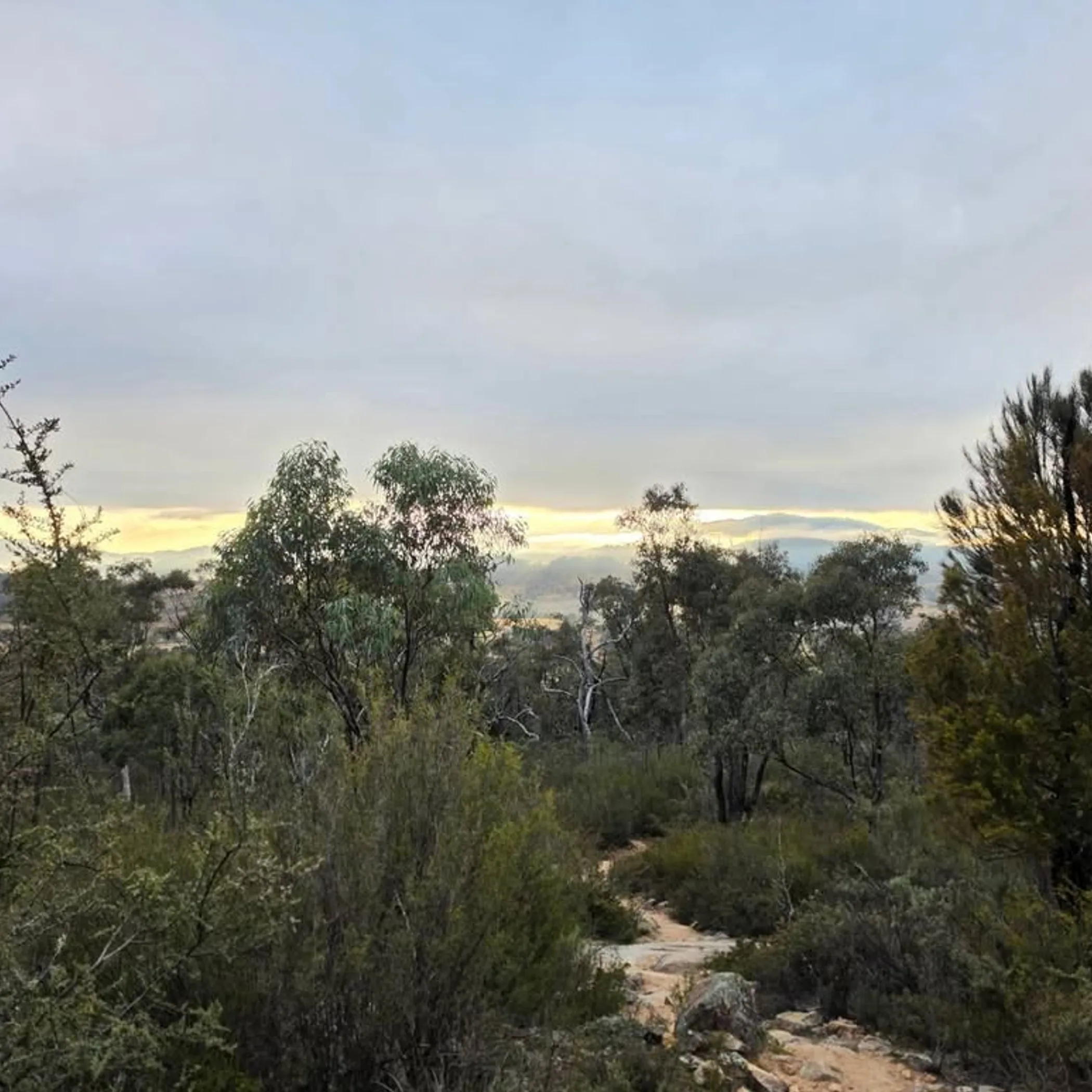 rocky trail through rugged outback scenery